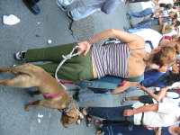 Genova, via Invrea, 20 luglio h. 17 circa. La gente si dirige verso Piazza Alimonda.